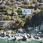 Azzurra Splendor *