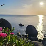 Azzurra Splendor