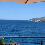 Azzurra Splendor