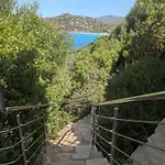 Azzurra Splendor * Torre delle Stelle