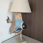 Azzurra Splendor *