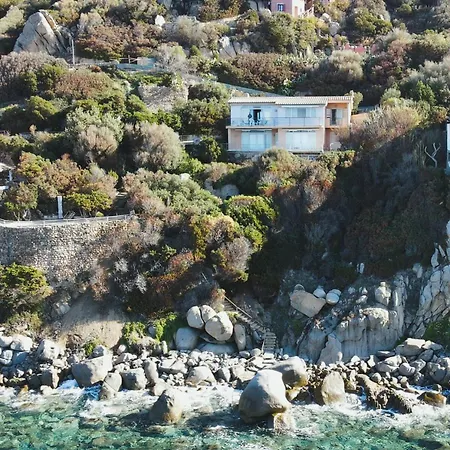 Azzurra Splendor *