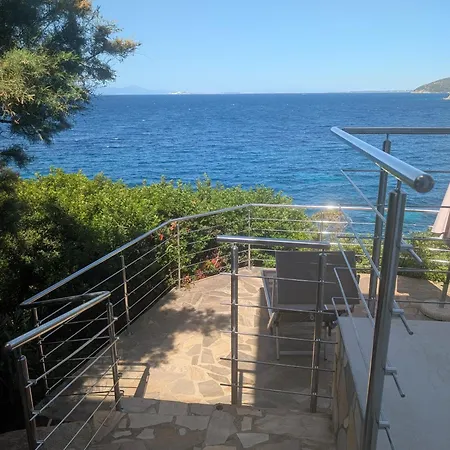 Azzurra Splendor *